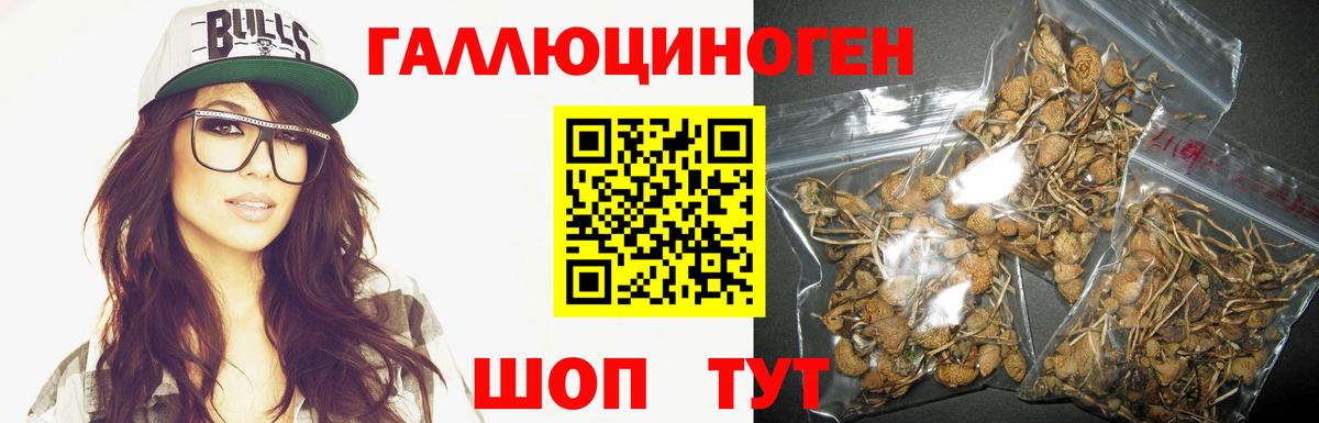 дарнет шоп  Вход с VPN  Подольск  Галлюциногенные грибы мухоморы 
